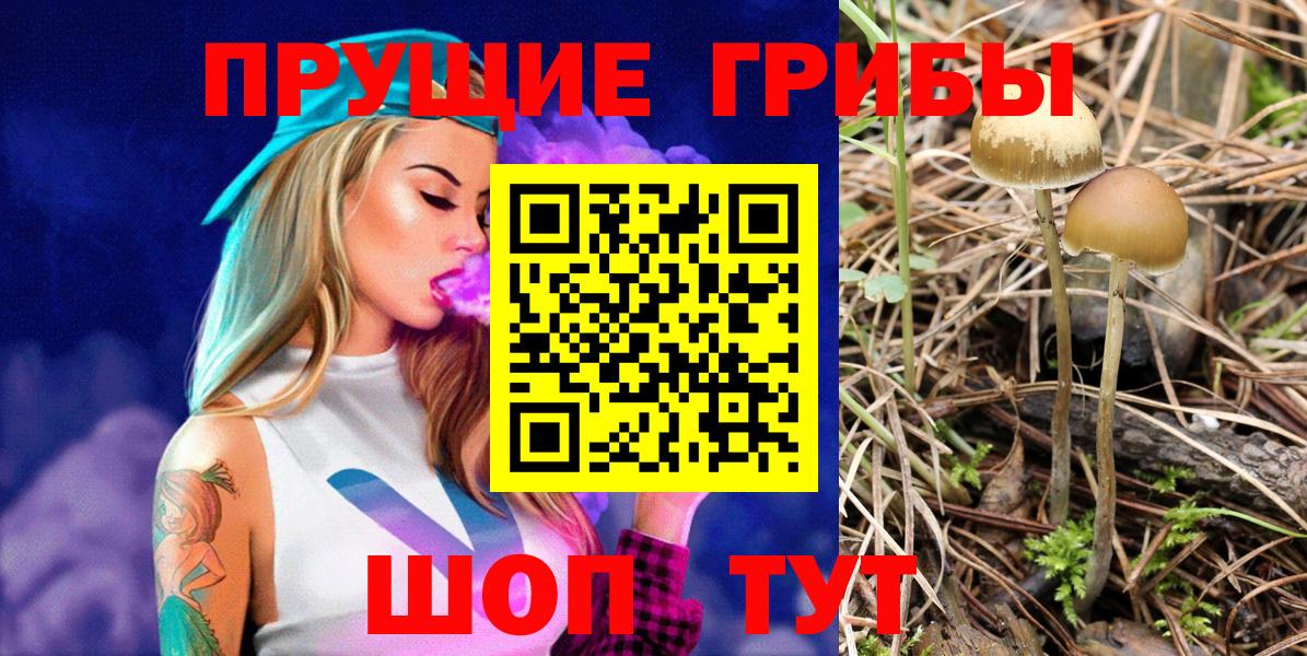 Псилоцибиновые грибы Magic Shrooms Борзя