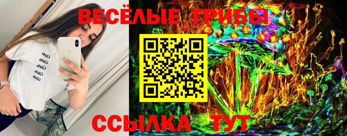 наркошоп  Вход с VPN  Псилоцибиновые грибы Psilocybine cubensis  Борзя  Псилоцибиновые грибы мицелий 